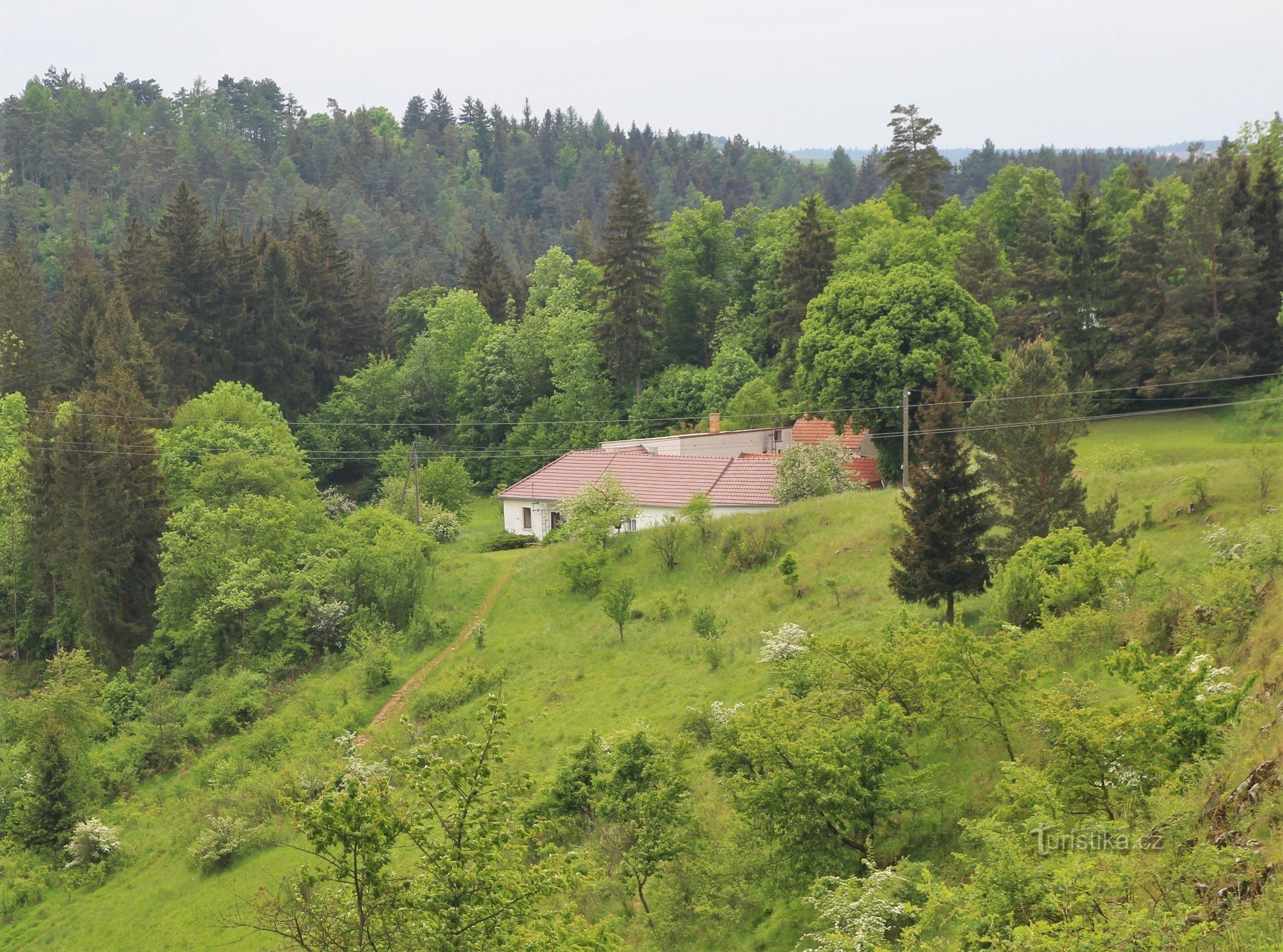 Pindulka 在 Ostrovské žleb 山坡上的孤独