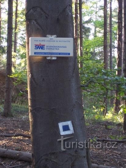 Chance: The end of the marked blue hiking trail leading to the overgrown remains of the fortifications of Chance