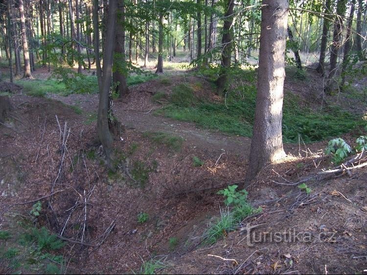 Mahdollisuus: Linnoitusten jäänteet, metsän peitossa