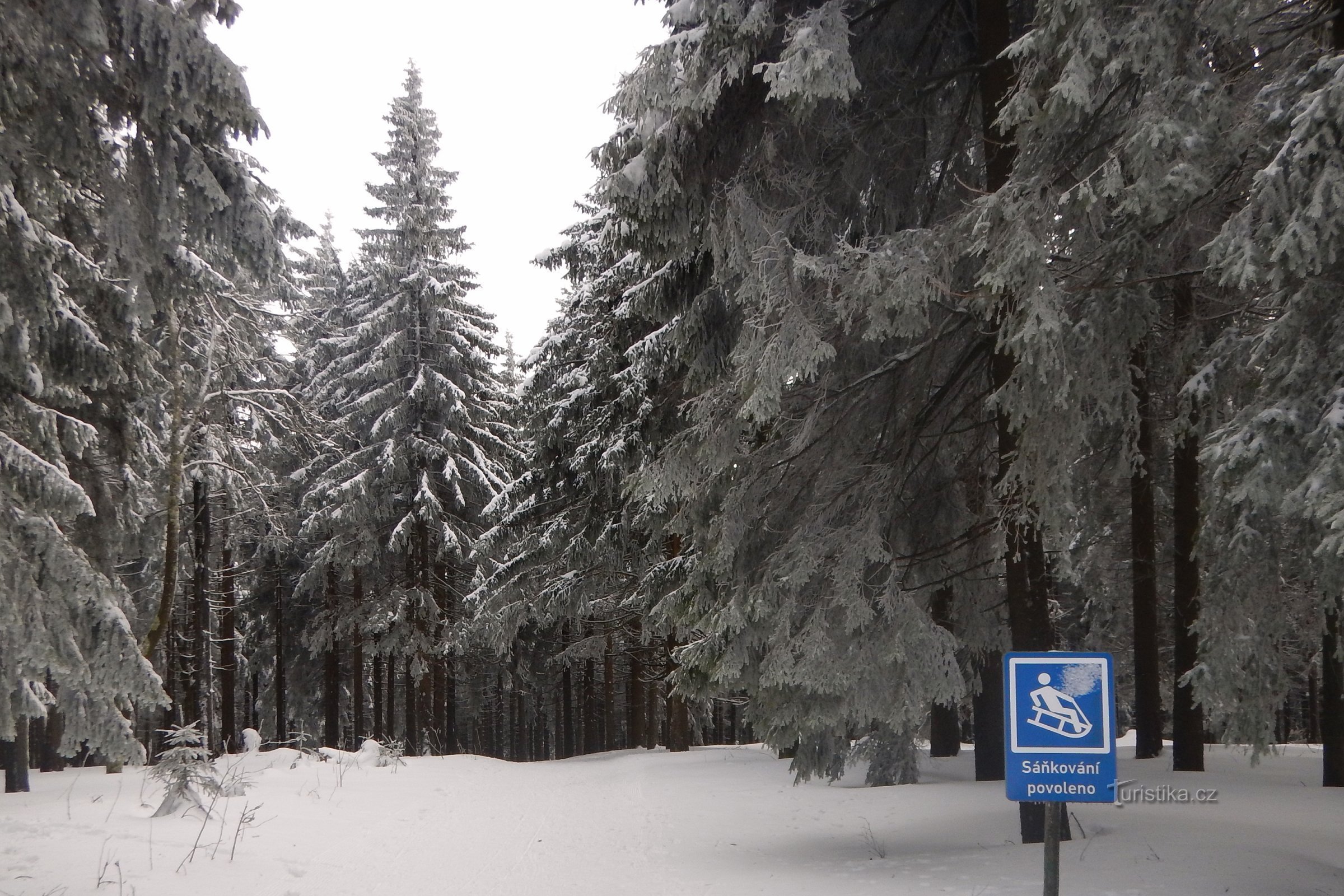 Kälkeåkning i Horní Blatná