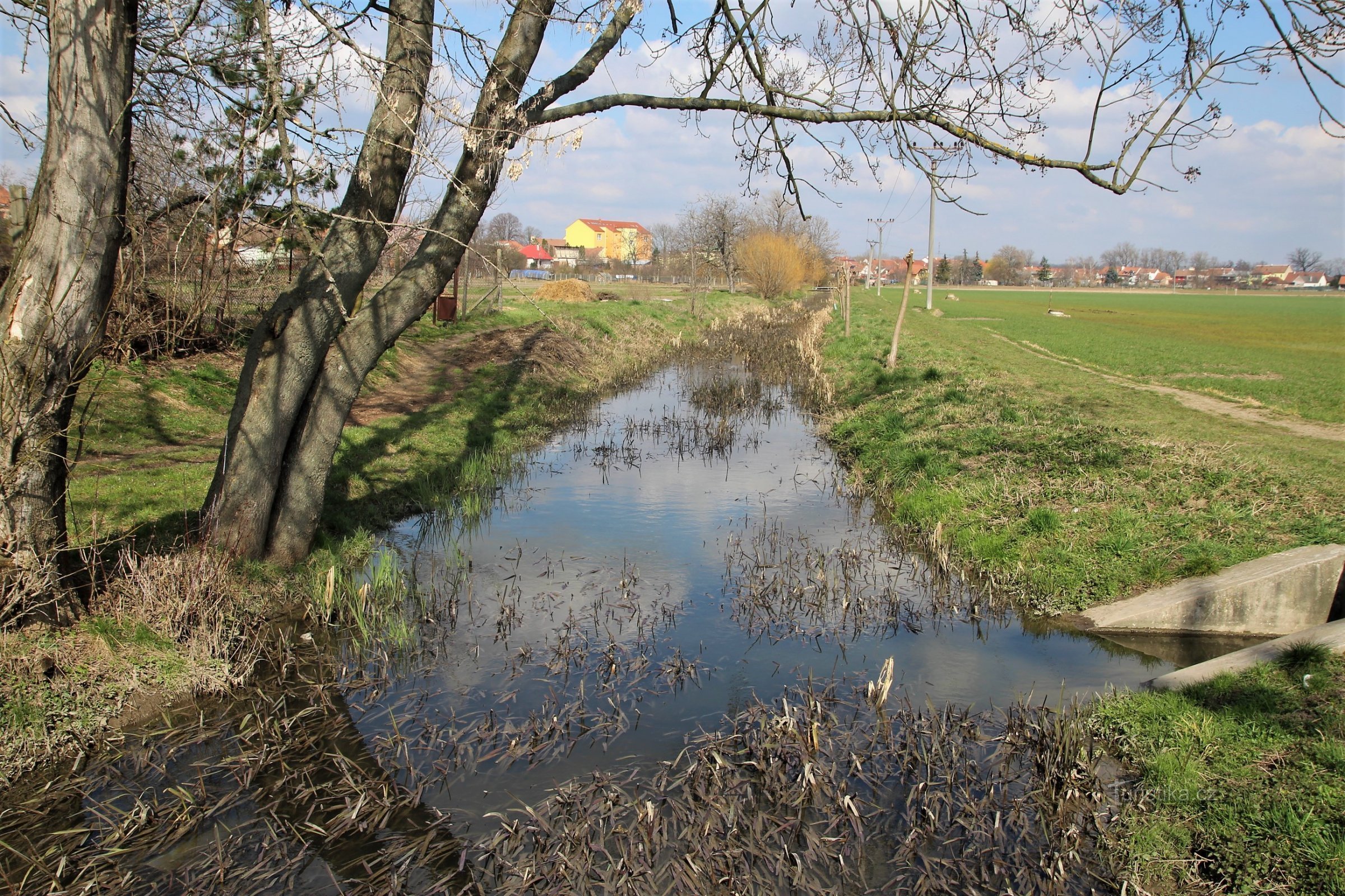 Šatava perto da lagoa Municipal