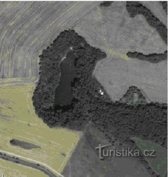 Satellite image of the site