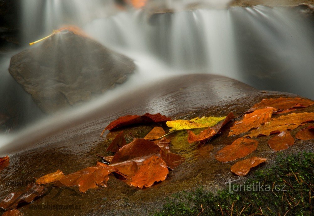 Cascades de satin