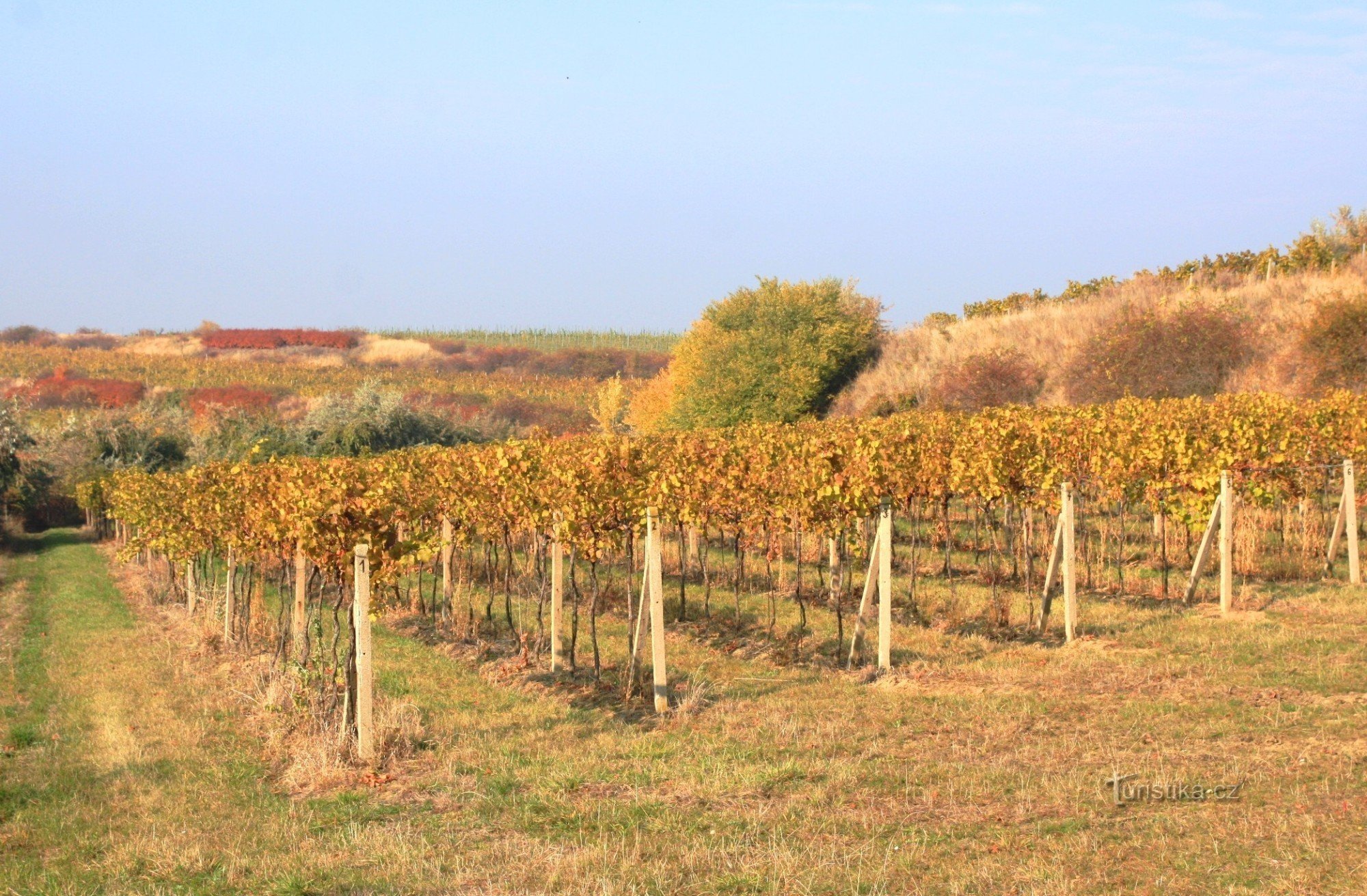 Šatov - Pista dei vigneti di Peklo