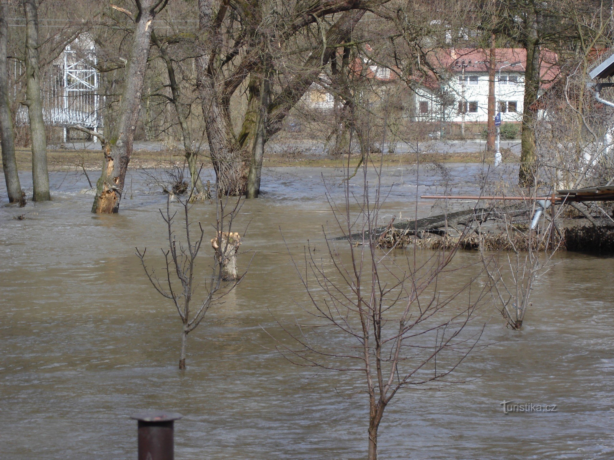 Sazavá 2006