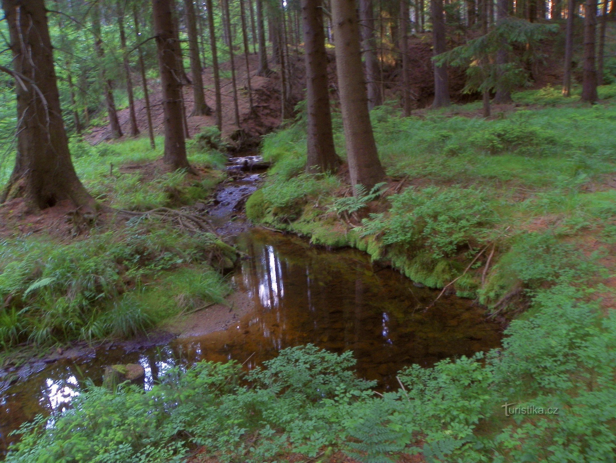 Sázava par la piste à voie étroite un peu au-delà du bosquet de Borka