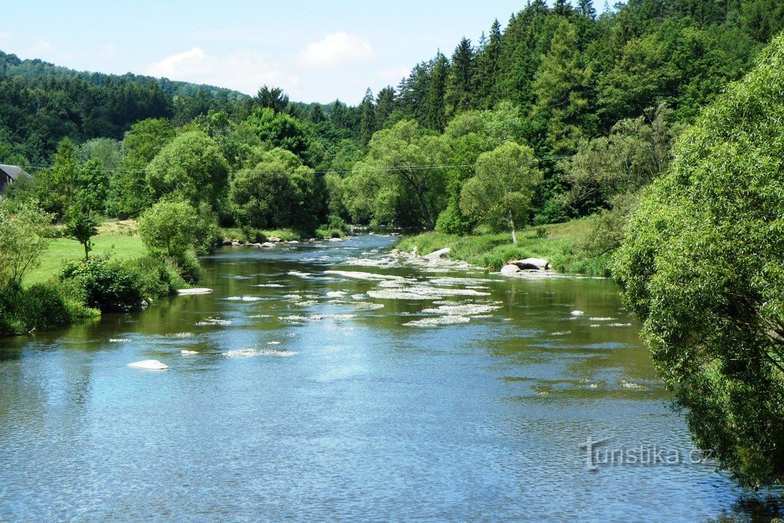 Sázava in Smrčná