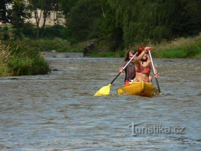 Sázava - excursie cu barca de la Týnec la Pikovice