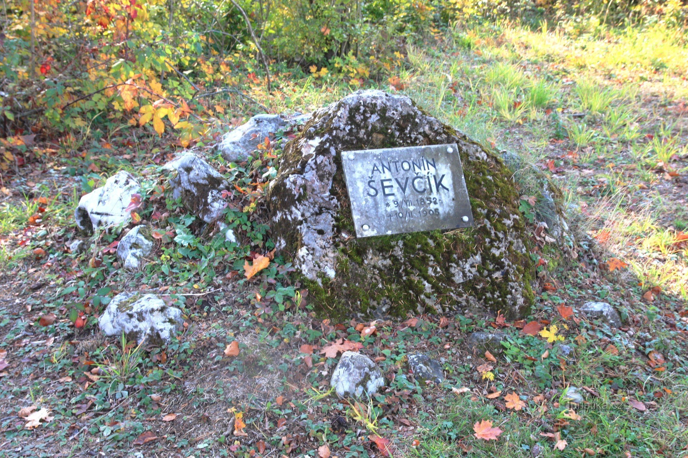 Schatts rejse begynder ved monumentet til A. Ševčík