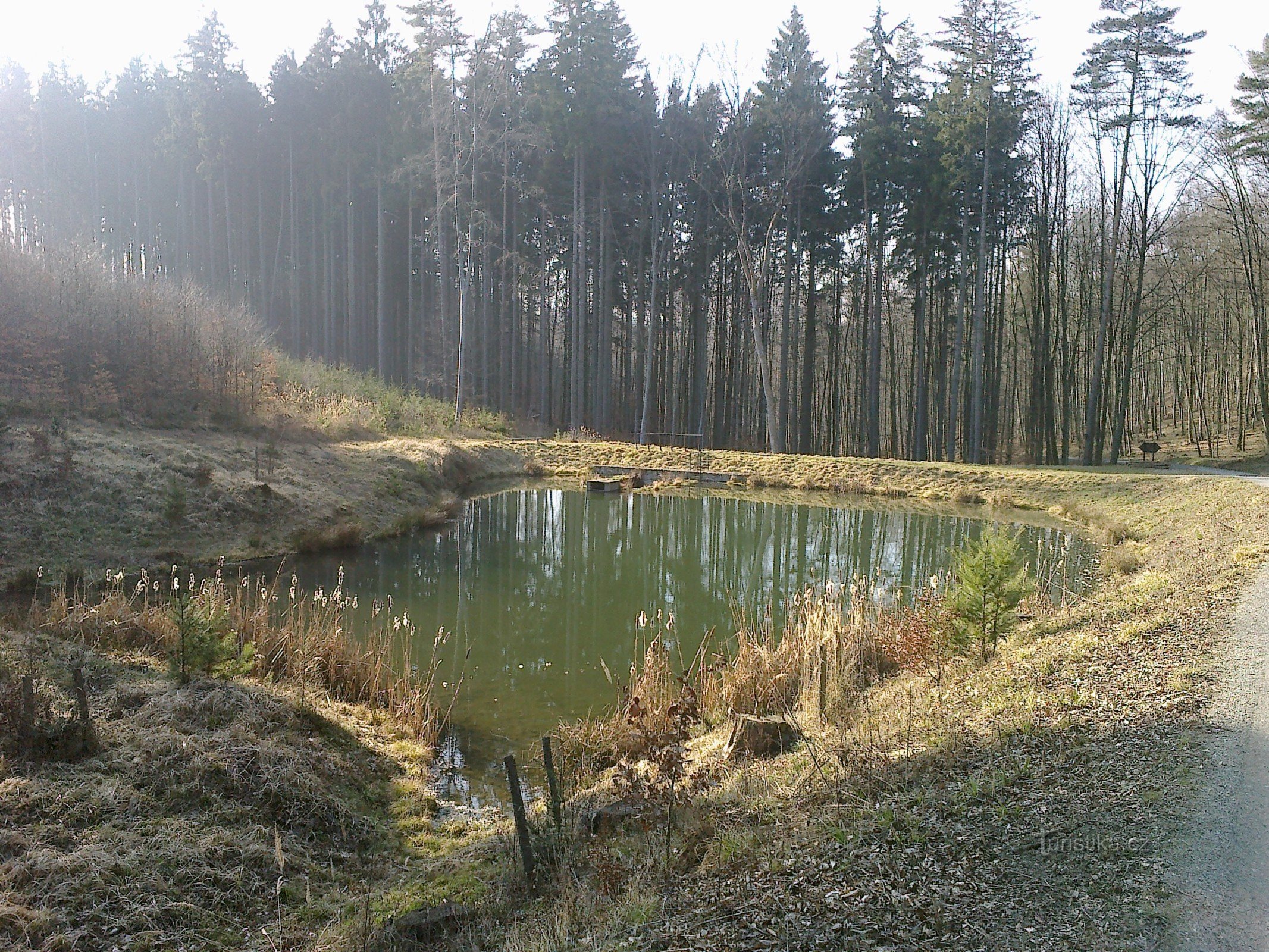 Schindler I - Ansicht von oben