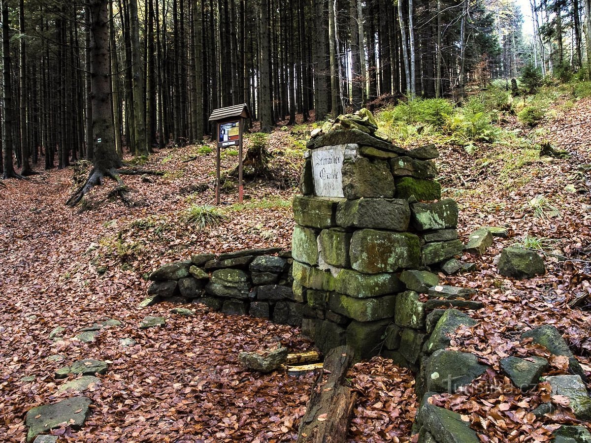 Le printemps de Schindler