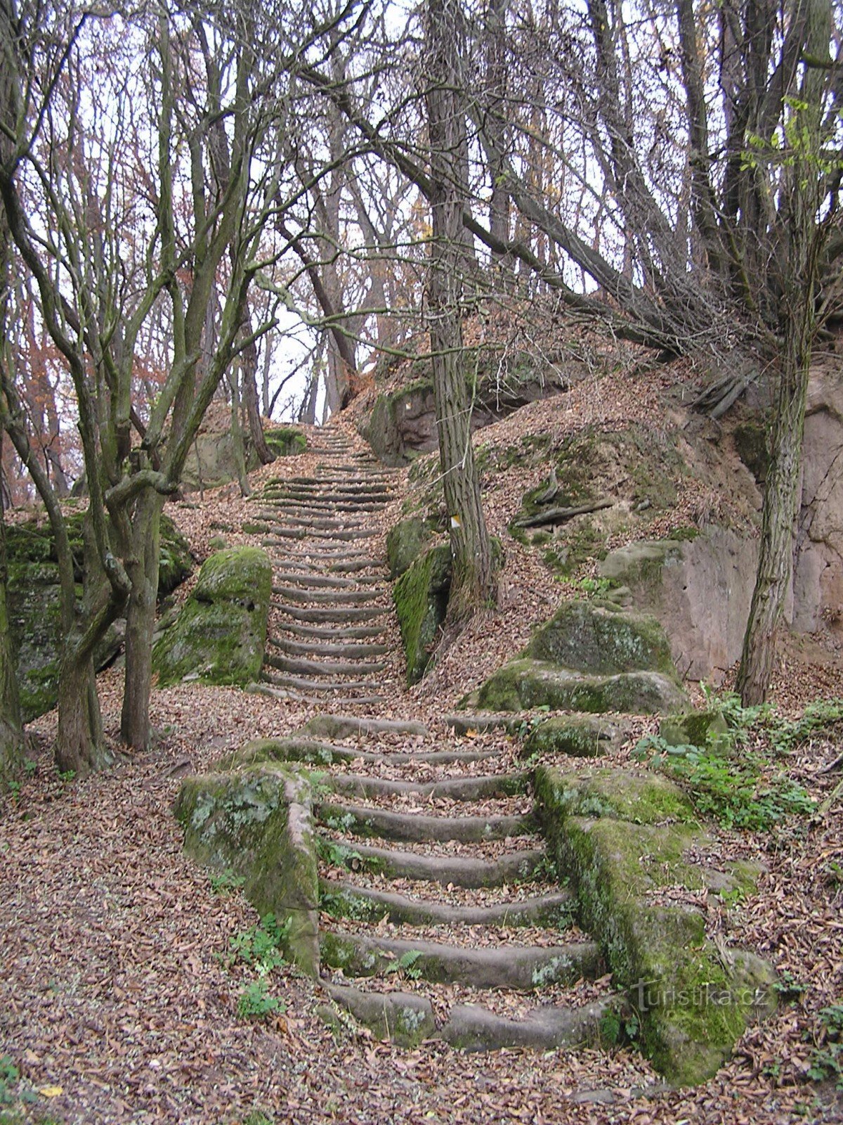 Mšen 露营地的楼梯 (11/2014)