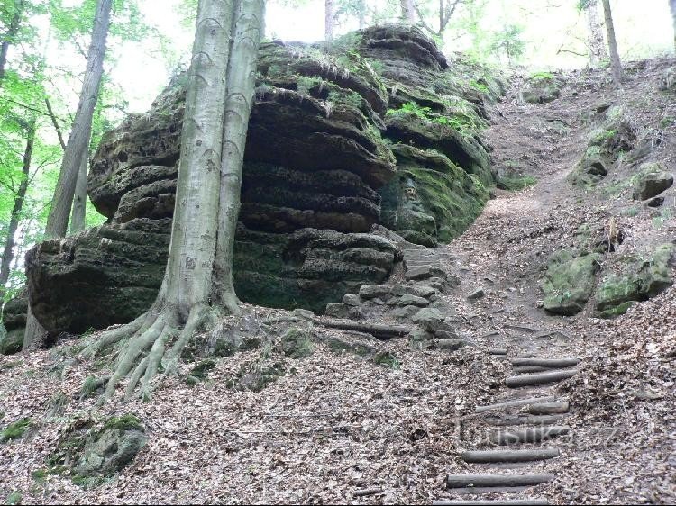 Treppe zu den Zwergen