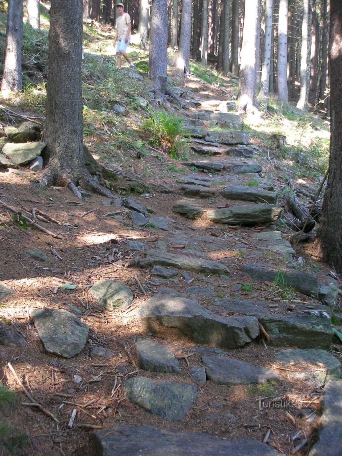 stairs to the castle