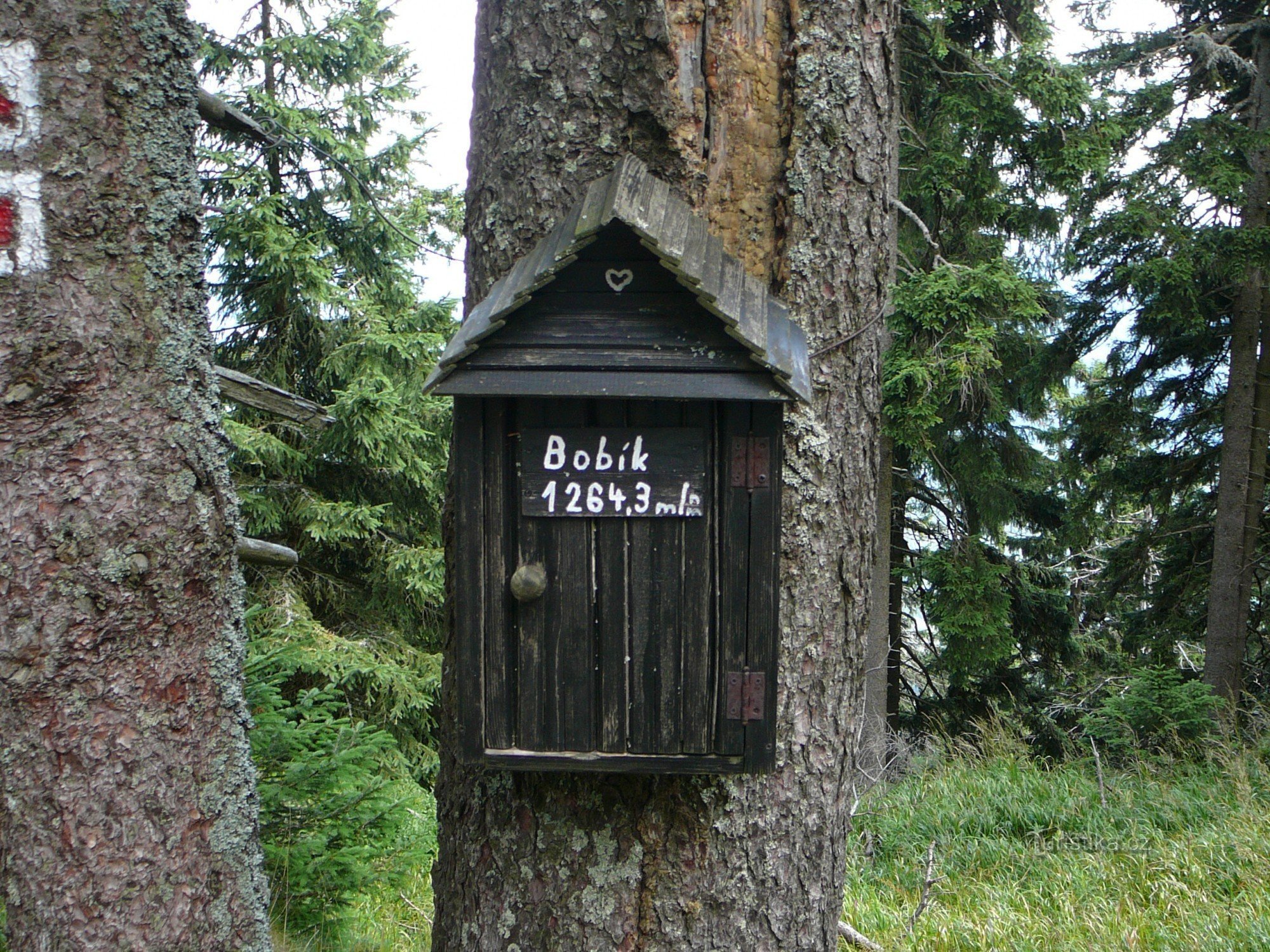 Boîte pour le meilleur livre sur Bobík