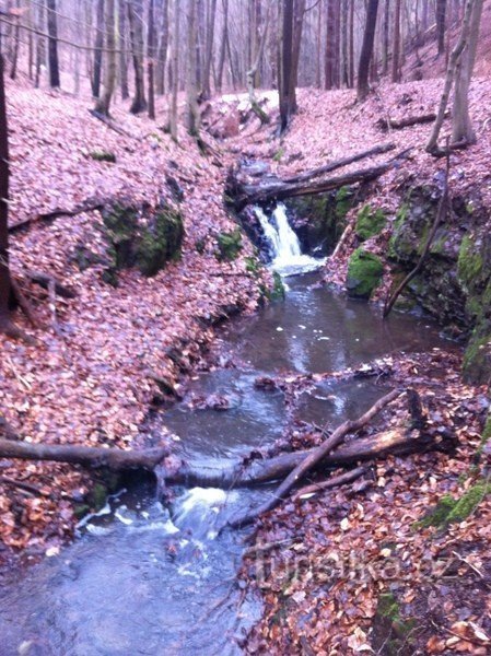 Šebrovka - lower waterfall