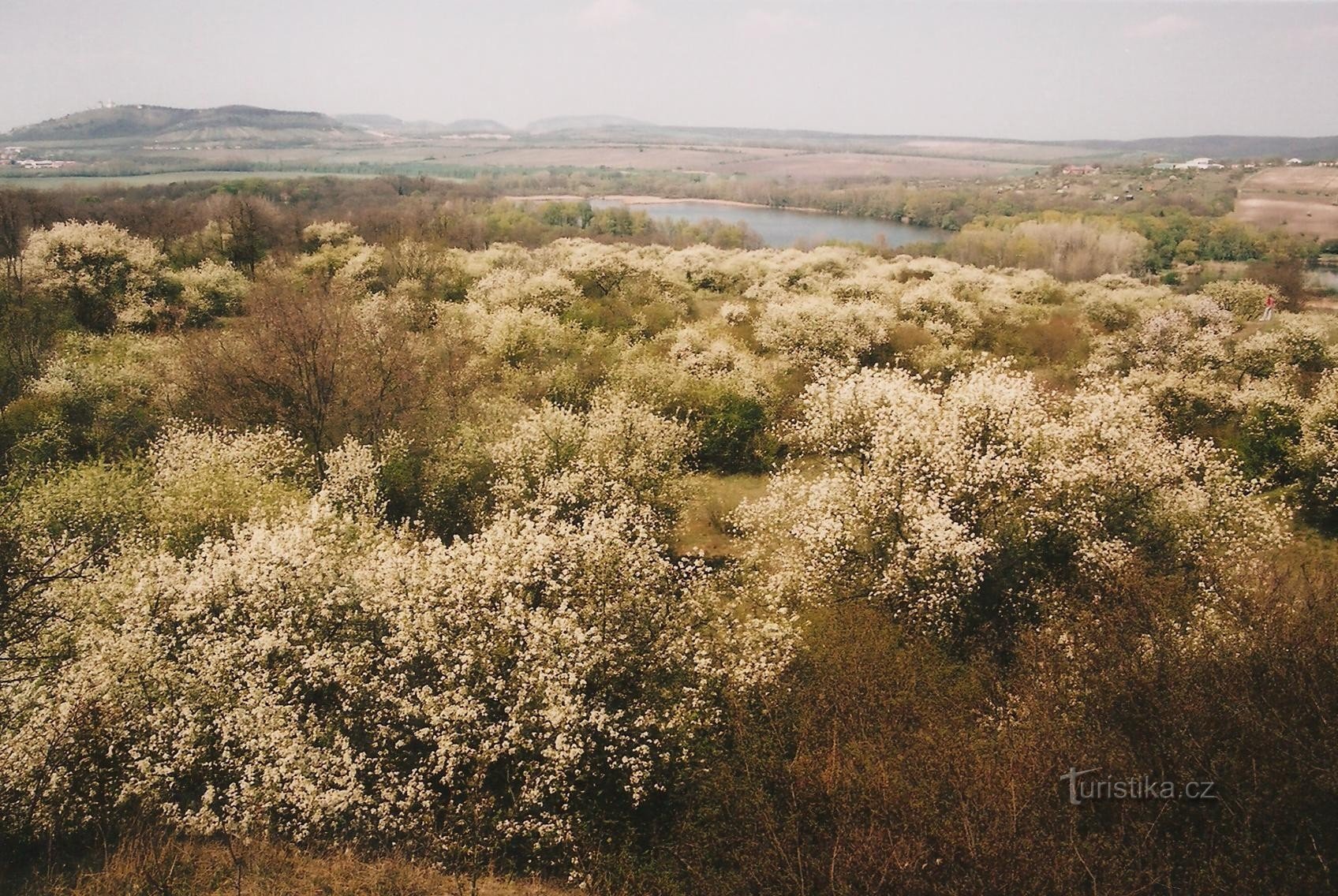 Steingarten Sedleck mit Nový rybník