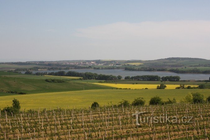 Sedlecké vineyards, Nesyt pond in the background