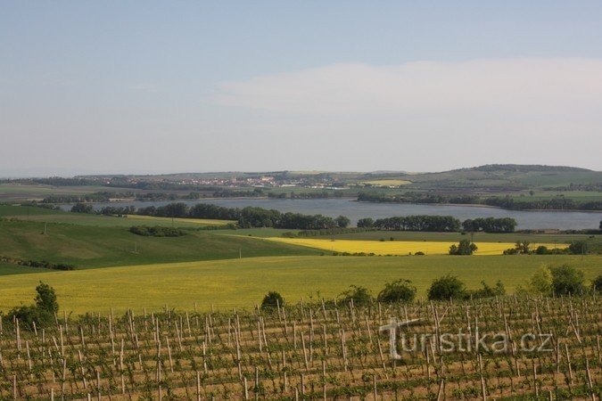 Sedlecké vinogradi, ribnik Nesyt v ozadju