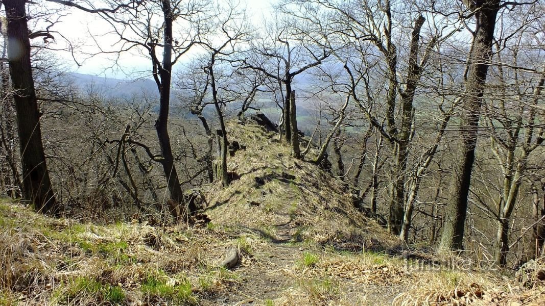 Saddle, ridge, view to the west