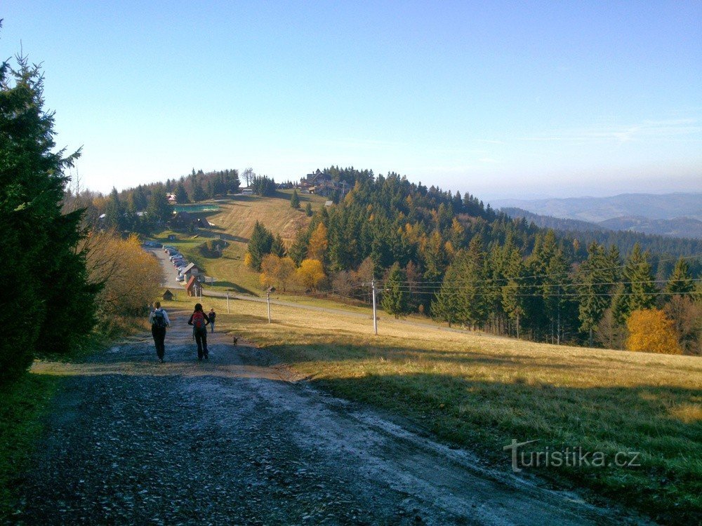 Sattelhahn