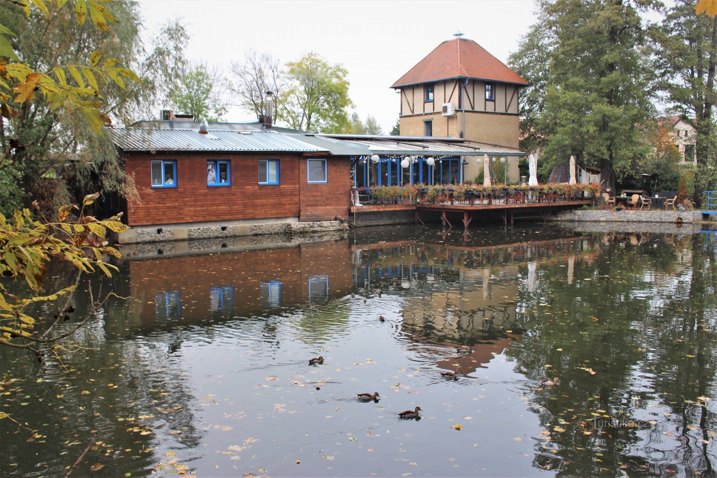 Sedem ribnikov Holské blizu Průhonic