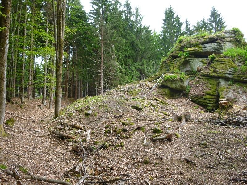 Šelmberk