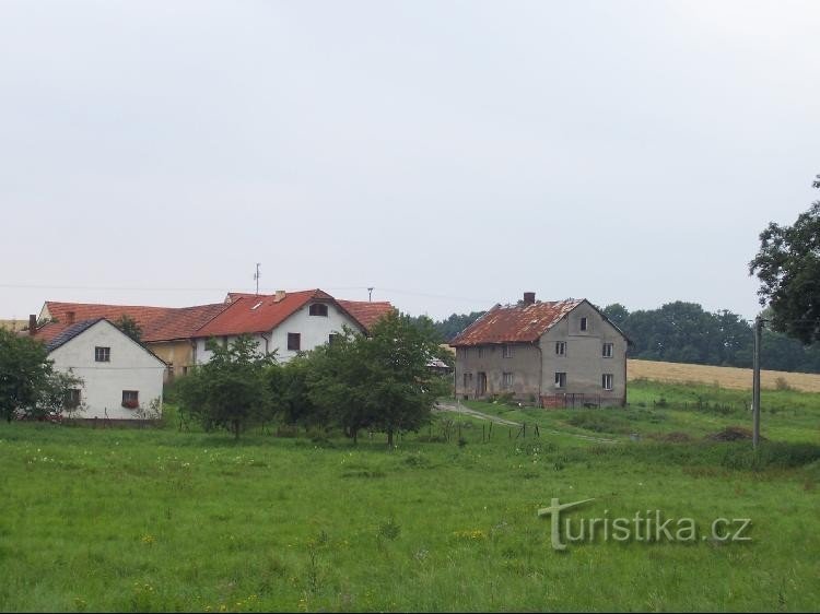 Selská stavení: Usedlosti kravařského typu ve východní části obce.