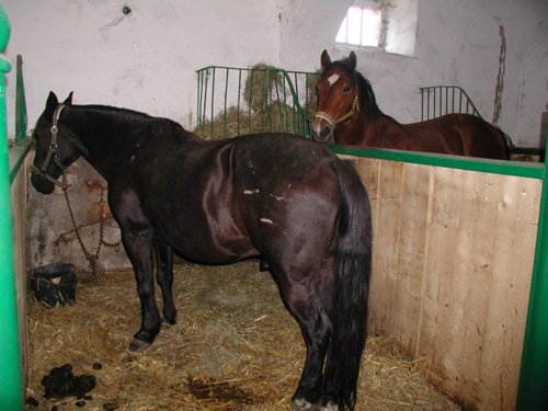 Corps de ferme - maison d'hôtes - ferme