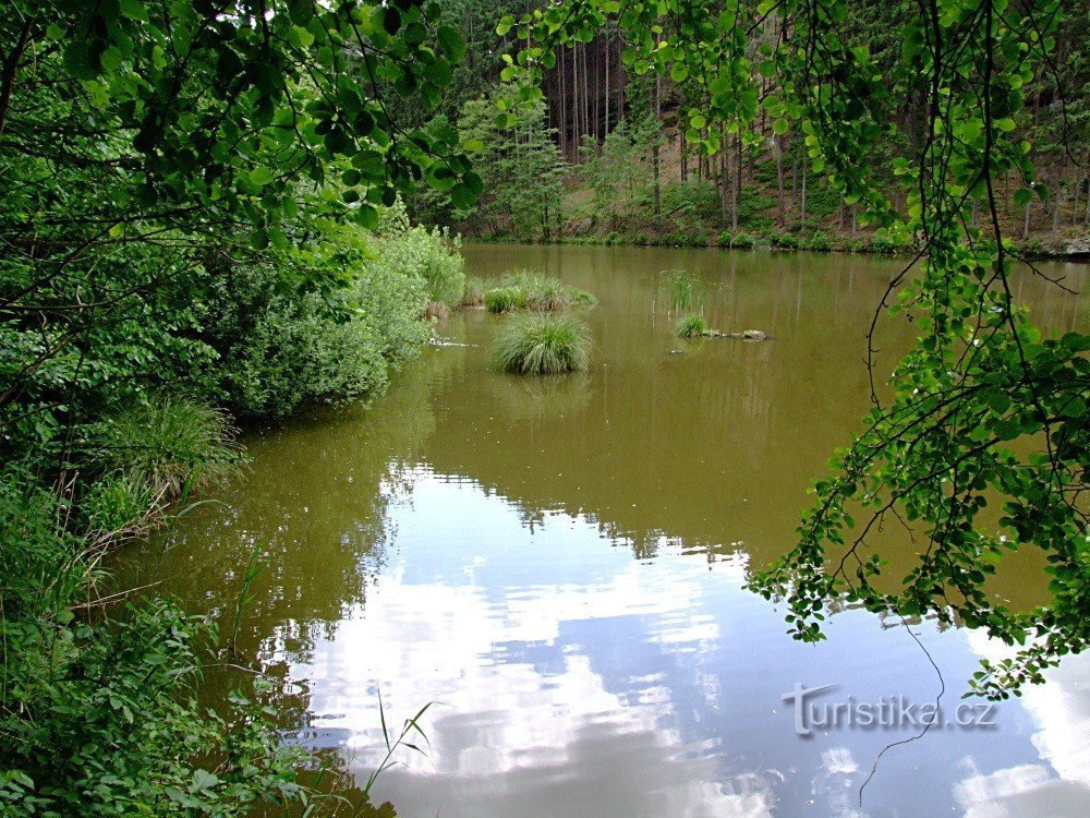 Семінський ставок