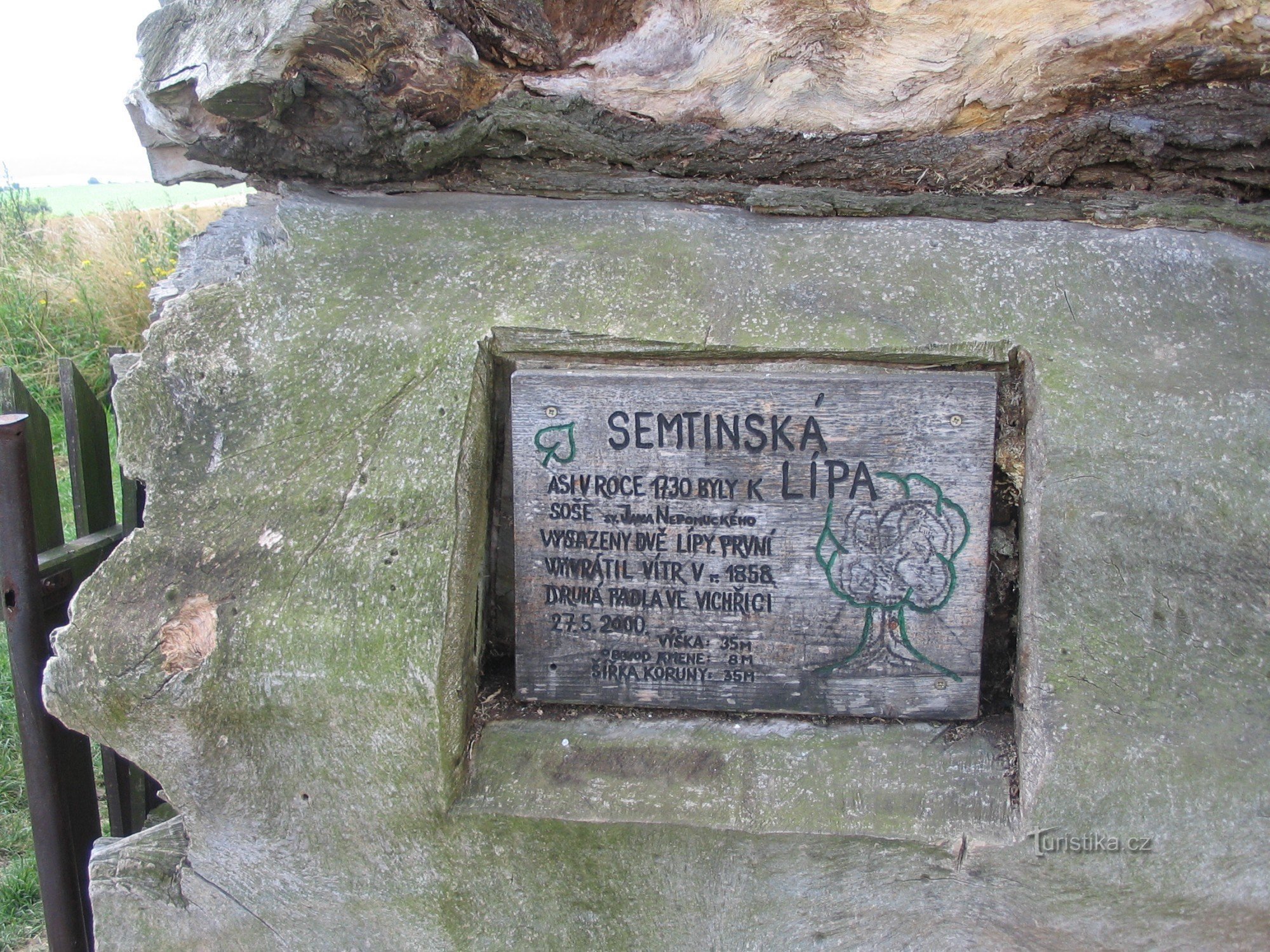 Semtín lipa