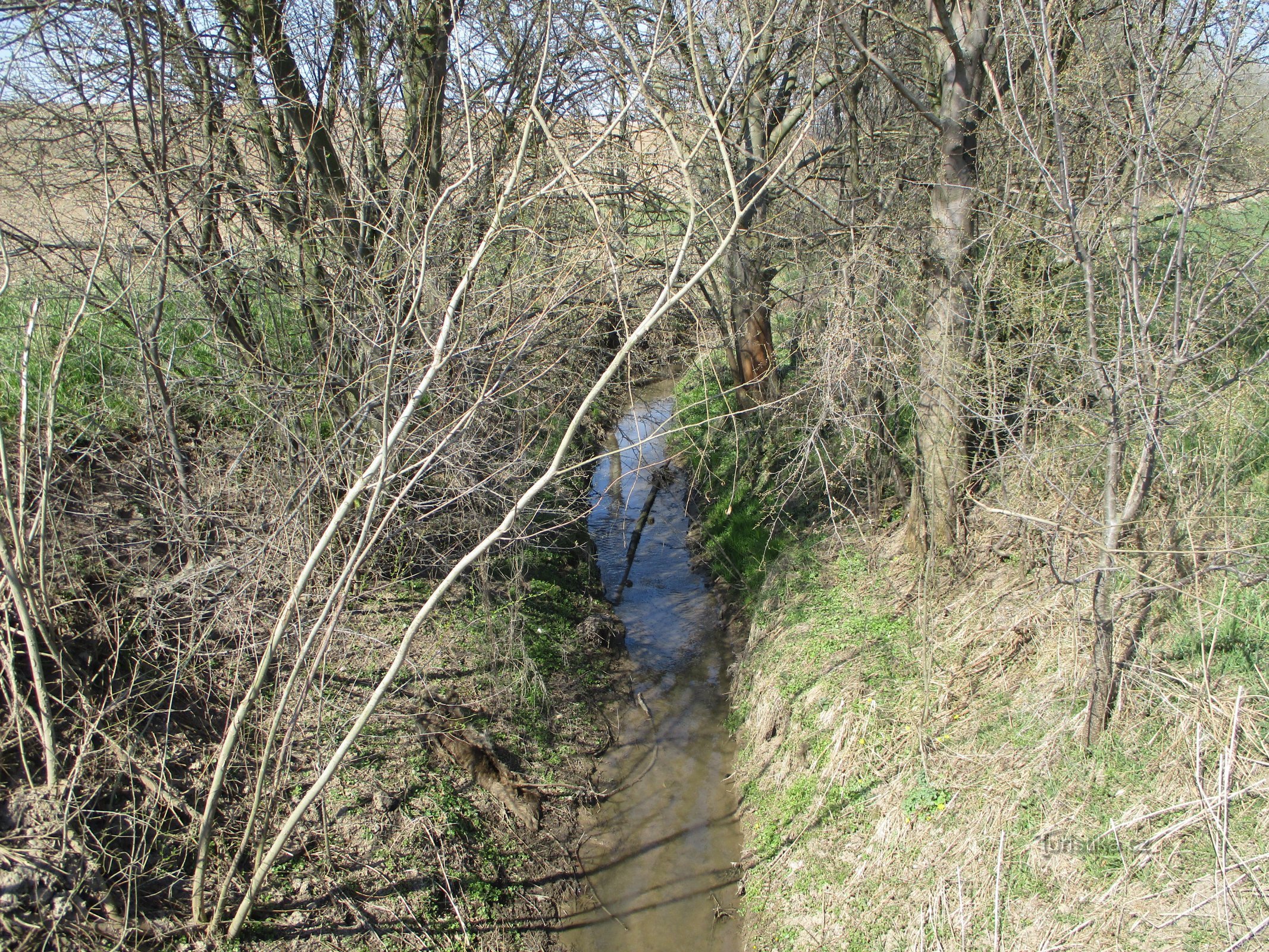 Sendražice Stream (Sendražice, 2.4.2020 april XNUMX)