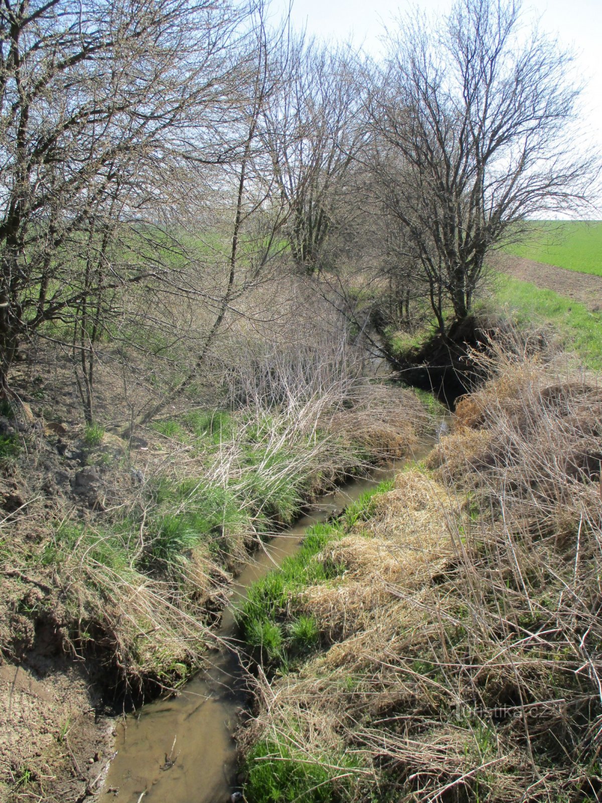 Sendražice Stream (Sendražice, 2.4.2020. április XNUMX.)