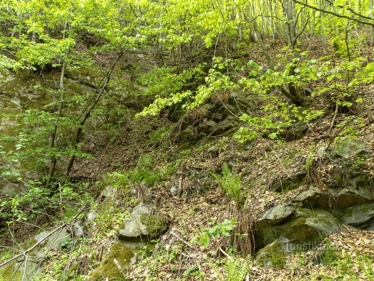 Senová or Háj – Tea ravine