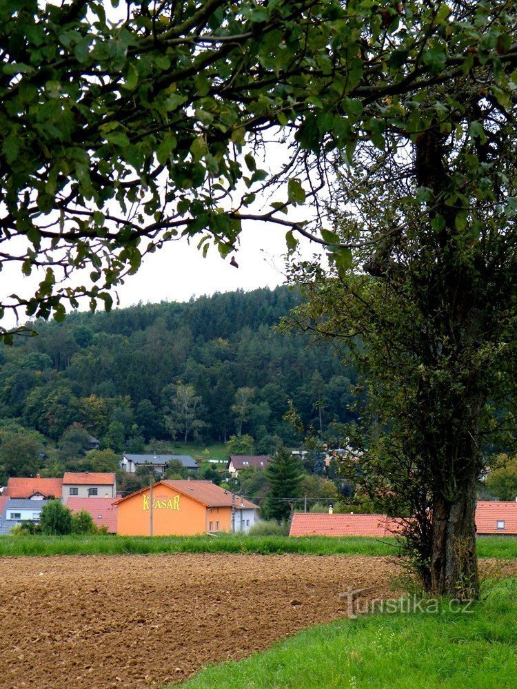 Sentic Brewery bagfra