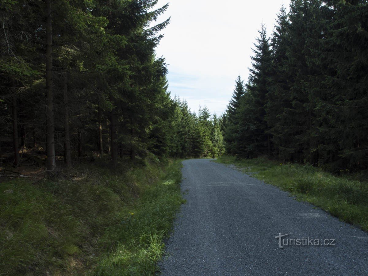 Serpentiini tähden yläpuolella