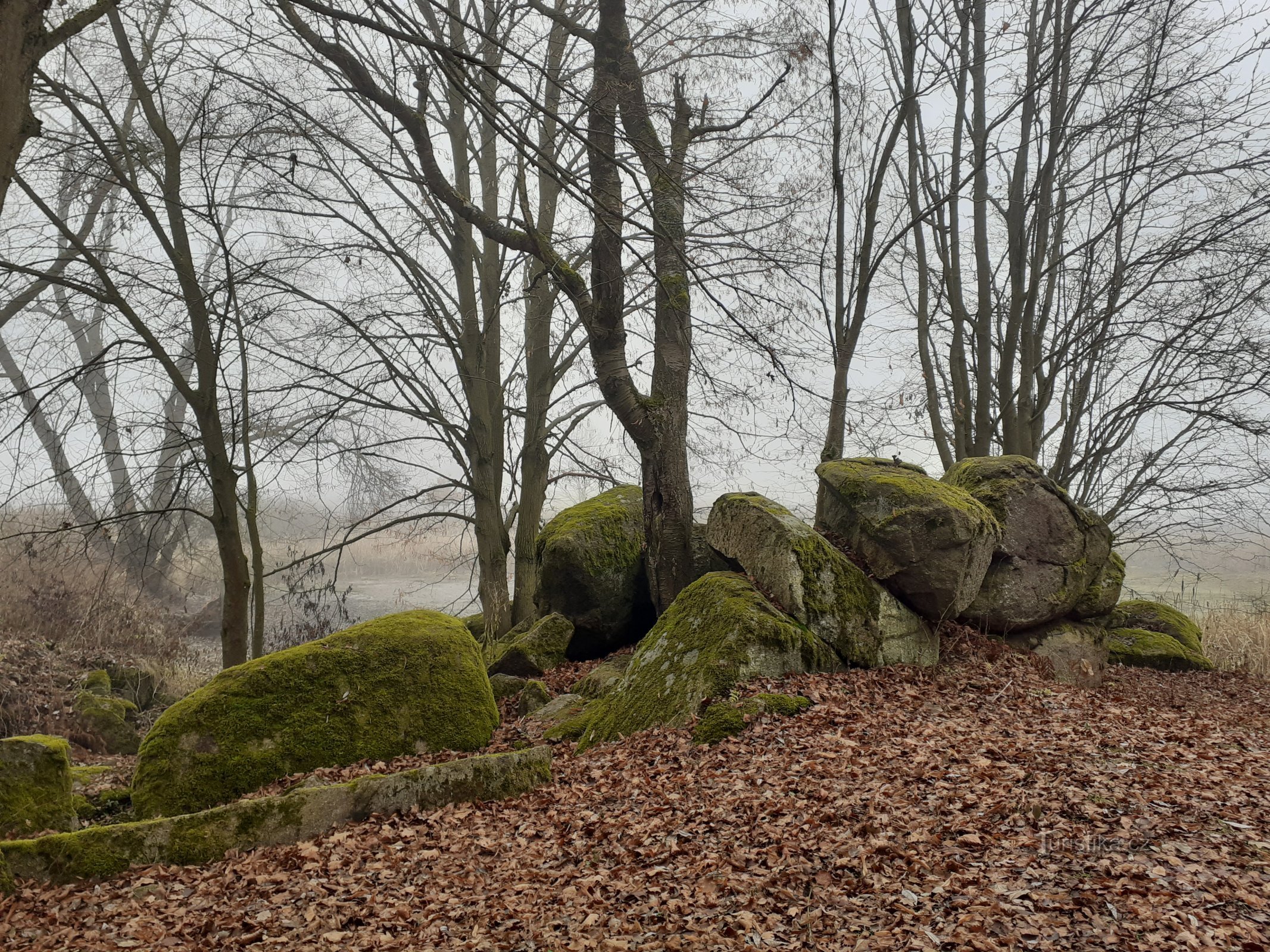 Gruppierung von Felsbrocken am Teich