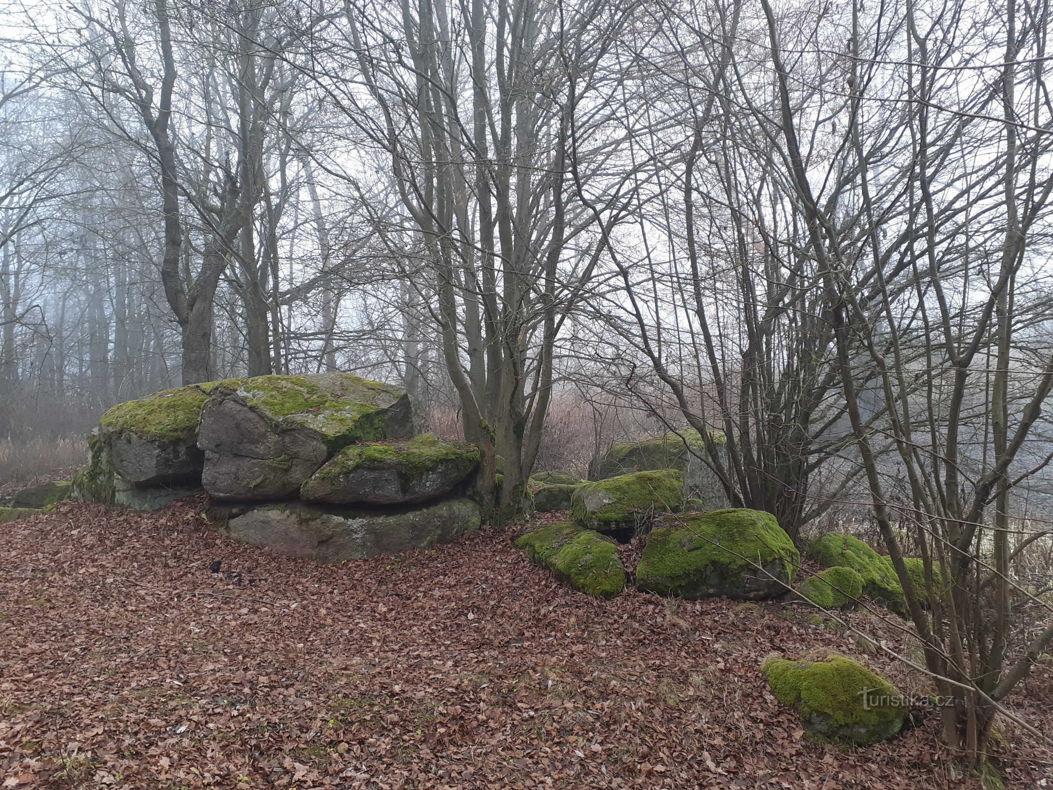grouping of boulders by the pond