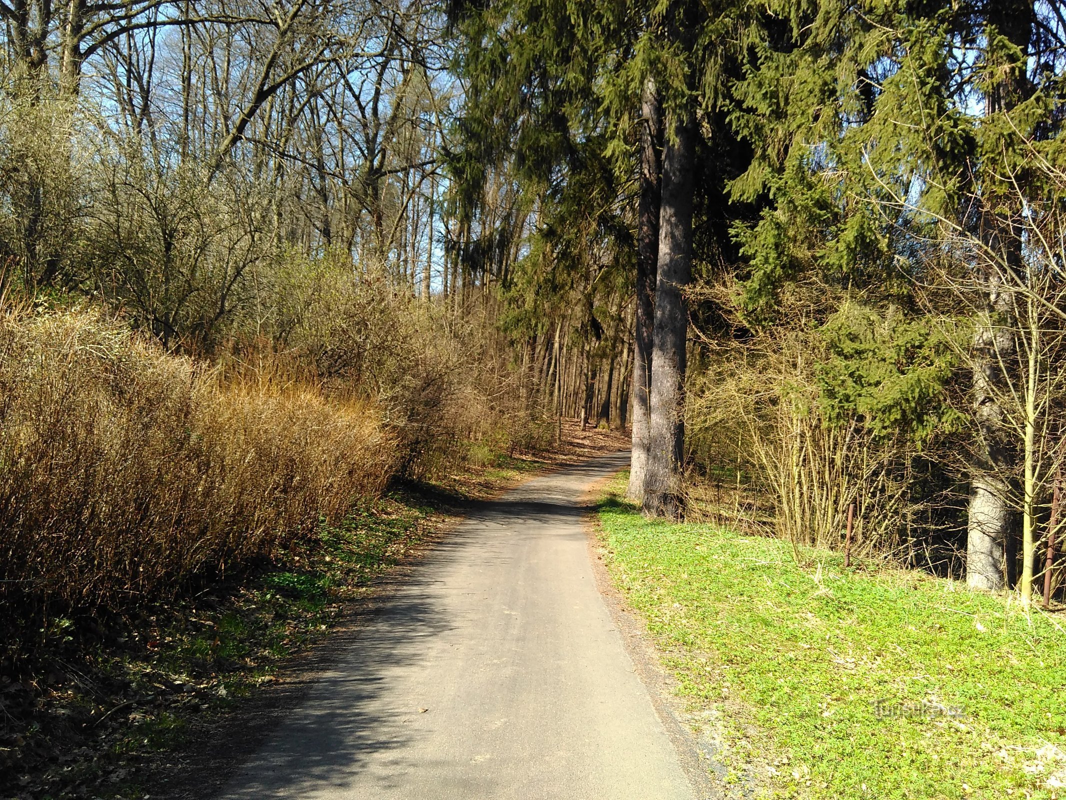 afdaling in de Kamenice-vallei