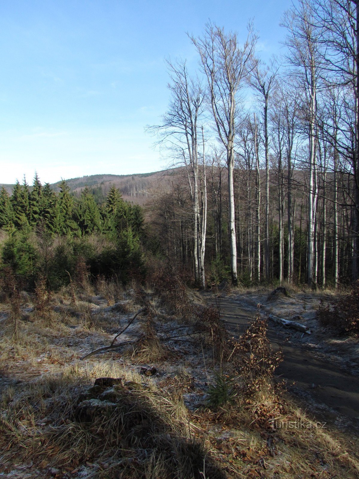 descent from Čerňava