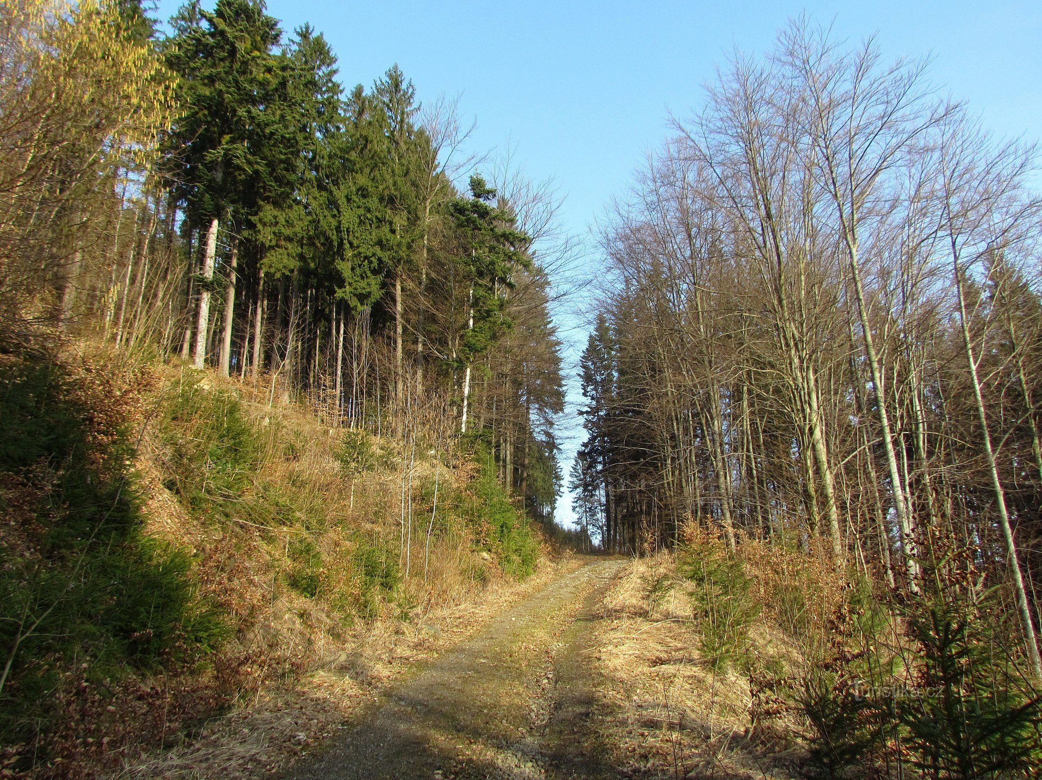 Glissement de terrain sur les collines