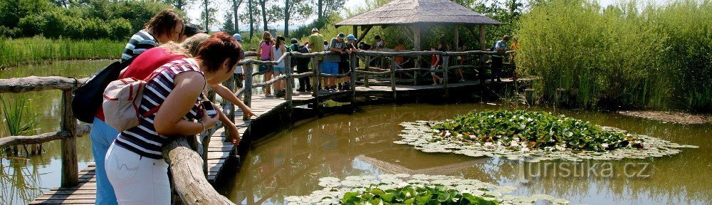 Rencontre avec la nature - excursions et voyages dans la nature avec des guides pour enfants et adultes