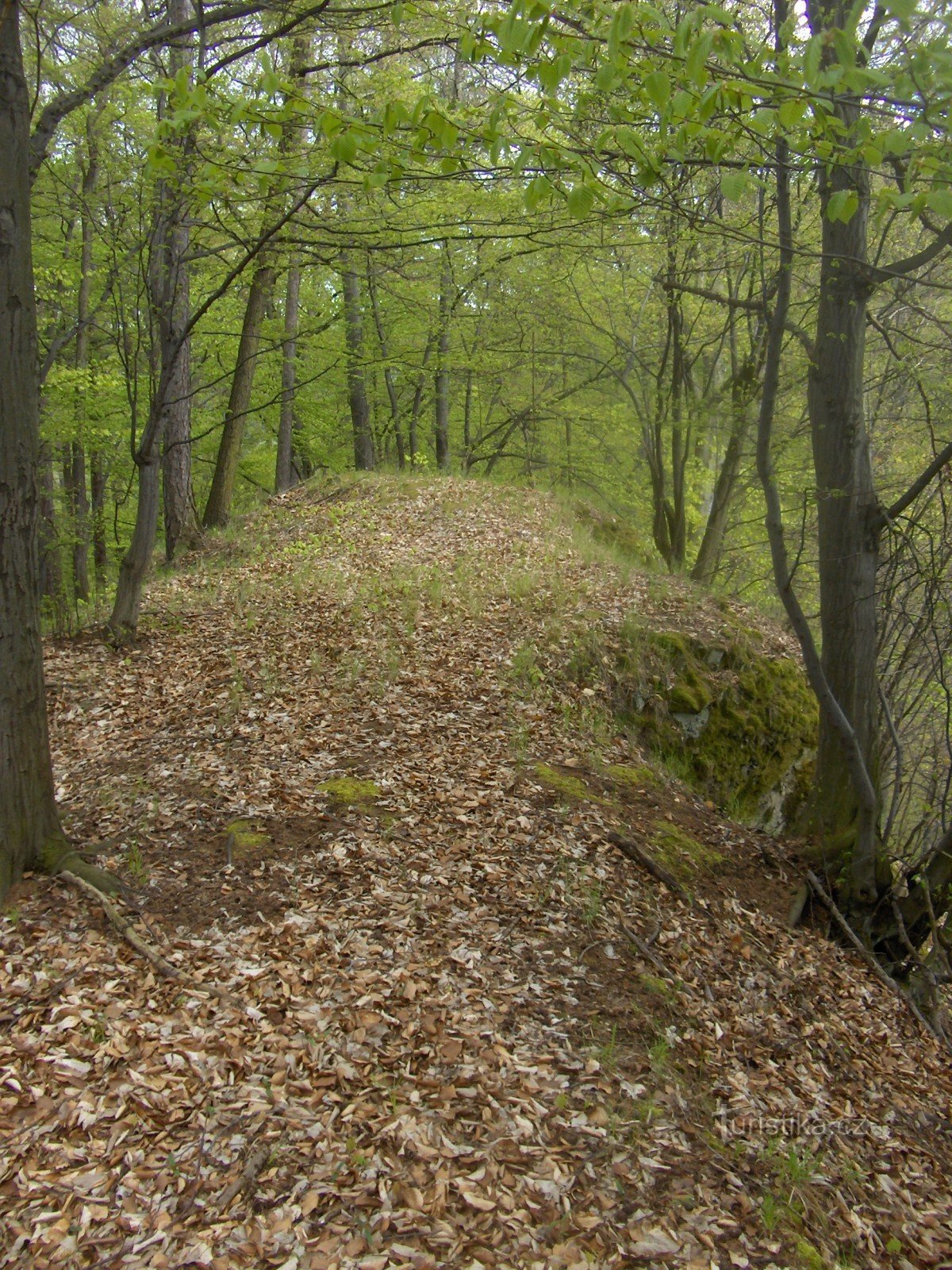 nördlicher Vorhof