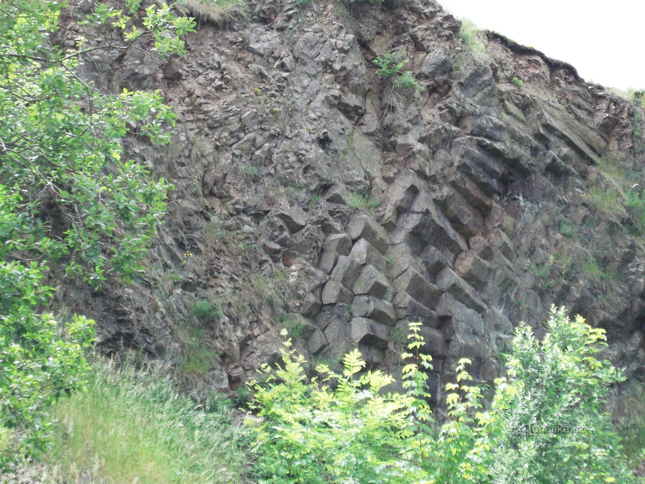 die Nordwand des Steinbruchs