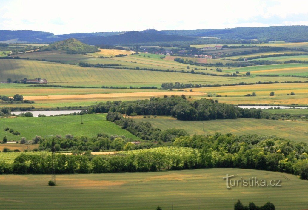 Šibeničník - nature reserve