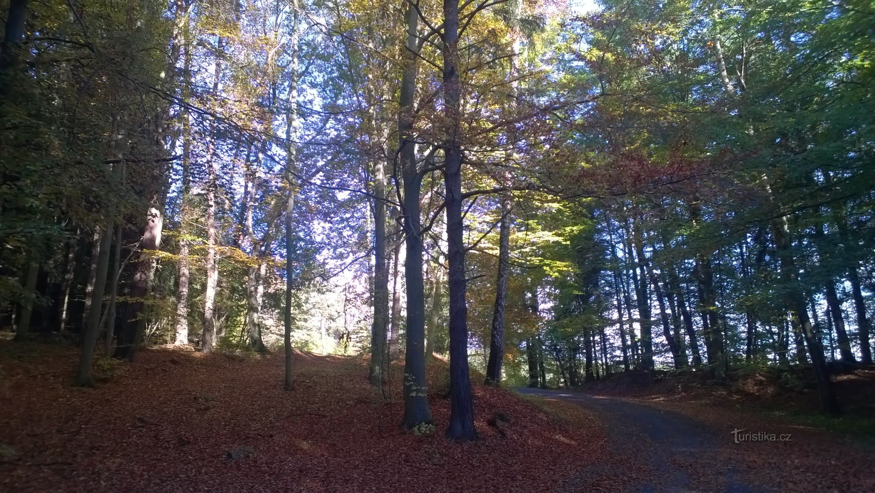 camino a Pusté Lhotsko.