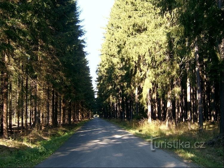 Väg: Vägen som förbinder Kornatice med Mirošov går genom parken.