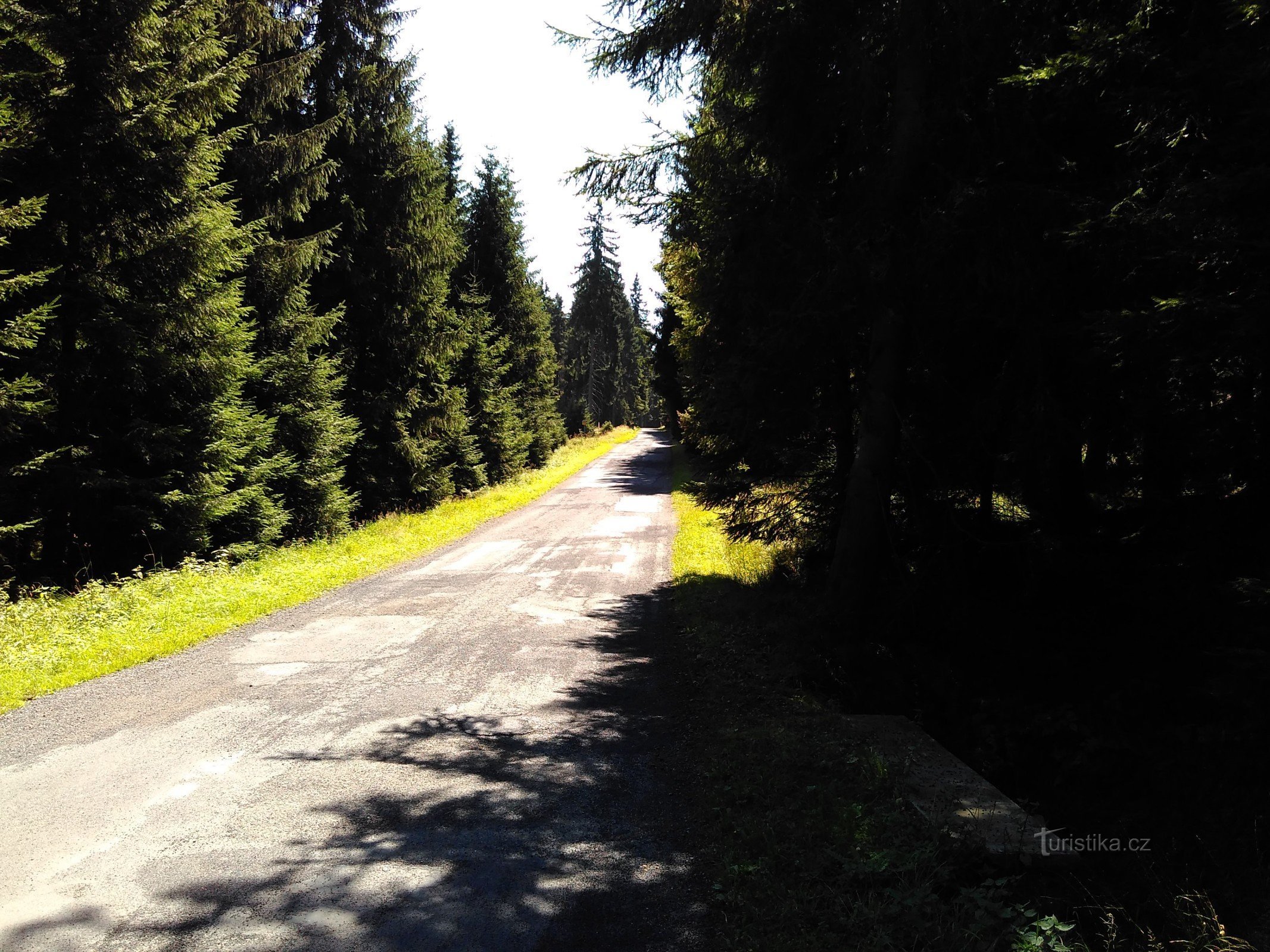 road towards Lázně Kynžvart