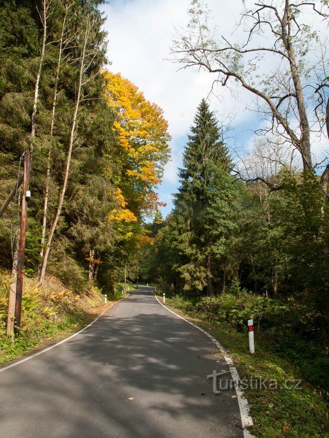 Cesta za Velké Vrbno