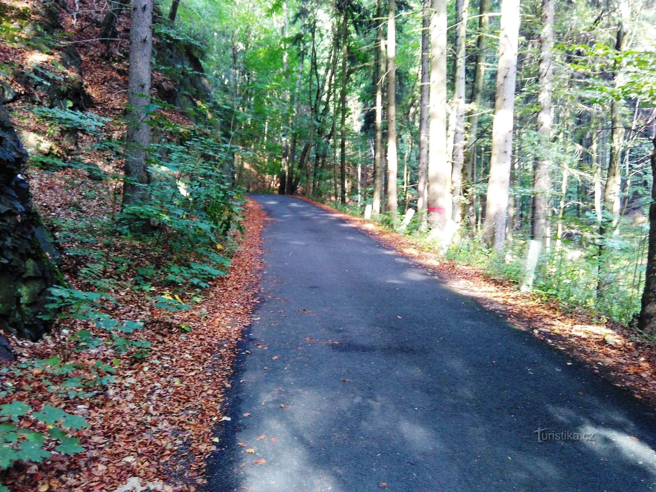 route vers le barrage de Kamenička